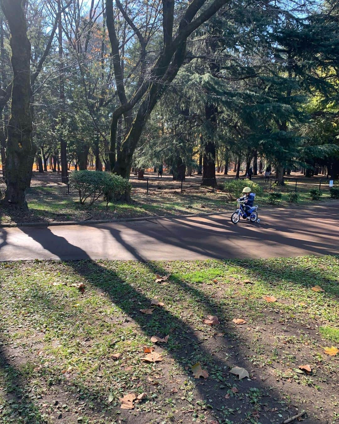 安田美沙子さんのインスタグラム写真 - (安田美沙子Instagram)「早朝ランして来ました🏃‍♀️ かなり、走るのが久々でした！ 木村コーチ達が子供達も見てくださり。。。ありがたい😭  息子は、コーチに速く走るの教わるんだと気合いを入れて！  弟は終わってからシャボン玉を初めて吹いてみました🤍 大成功！「はじめて」を見れて幸せでした😭  #run #早朝ラン　#シャボン玉　#boys #mama #park #thanks @kimurayasuto #みなさんありがとうございました」12月4日 18時52分 - yasuda_misako