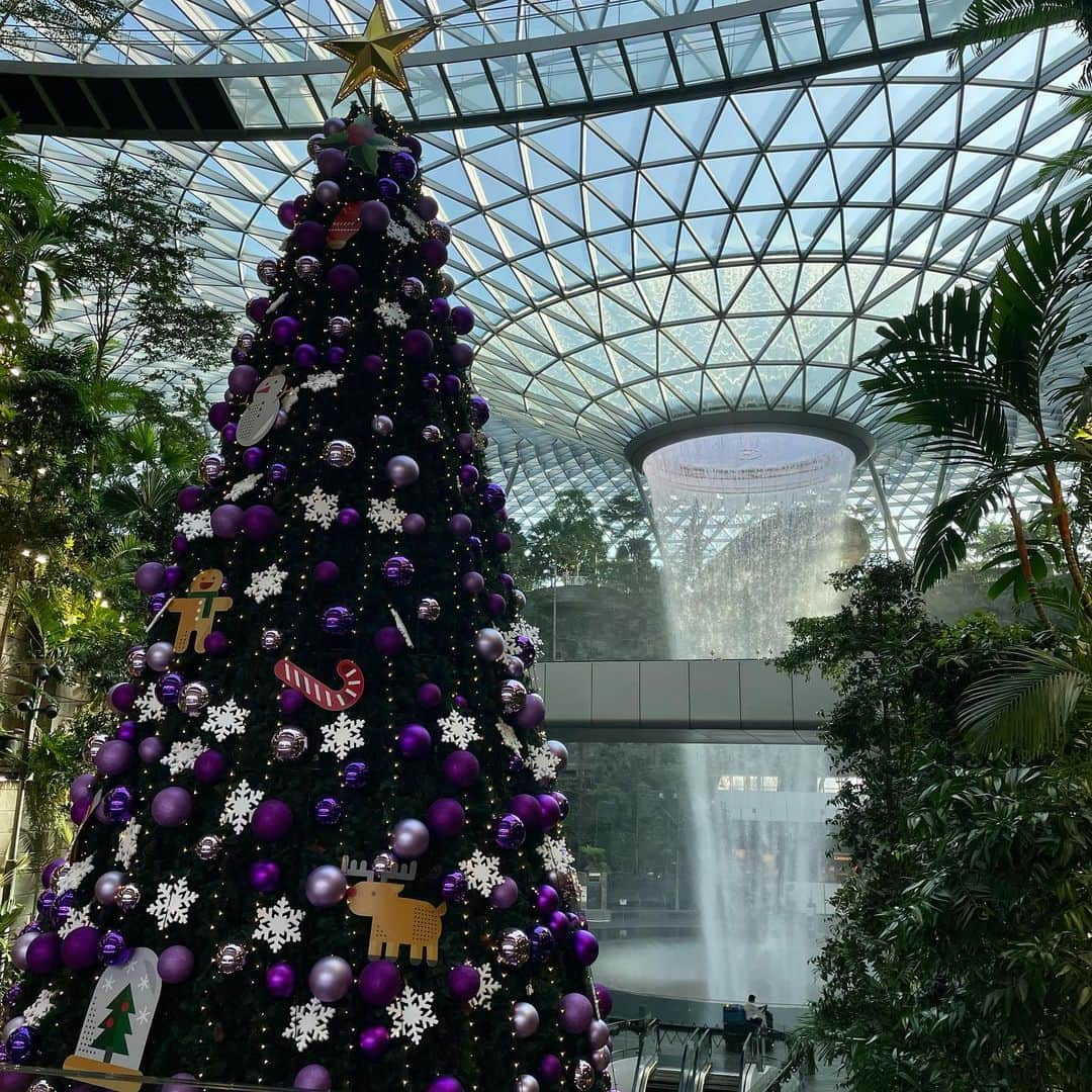 福田萌さんのインスタグラム写真 - (福田萌Instagram)「メリークリスマスシンガポール🇸🇬  #singapore #jewel #changiairport」12月4日 19時13分 - fukuda.moe