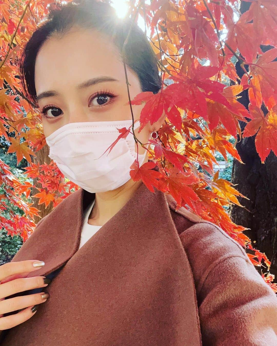 段文凝のインスタグラム：「紅葉🍁綺麗なお色ですね♪ 明日寒くなりそうので、今日まだ暖かいうちに新宿御苑へ行きました〜深まる秋の雰囲気に錦秋という言葉を思い出しました❤︎ #紅葉 #新宿御苑 #綺麗」