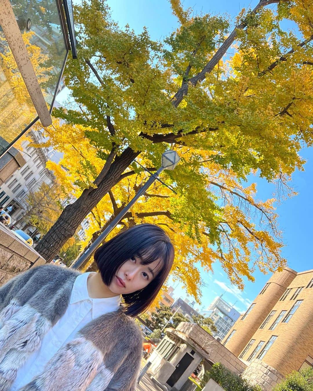 安倍萌生のインスタグラム：「. 気持ちのいいお天気☀️ きらきらしてて綺麗だった🪐  #いちょう並木 #イチョウ並木」