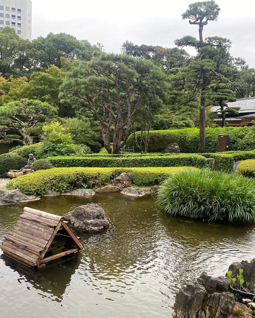 中西悠理さんのインスタグラム写真 - (中西悠理Instagram)「昨日のBS11『偉人・素顔の履歴書』加藤清正編を観てくださった皆さま、ありがとございました。 楽しんでいただけましたか？✨  この前、ホテルニューオータニの日本庭園をお散歩してきました。実は加藤清正の下屋敷があった場所で、400年以上の歴史があるお庭だそうです。 今は写真の時よりも紅葉が進んでもっと綺麗だろうなあ🍁  せっかくなので、庭園を眺めるガーデンラウンジで、 シュークリームもいただきました。（3枚目） クリームが固めですごく好みの味でした🤭 また食べたい…できれば年内にもう一度😭  #ホテルニューオータニ #加藤清正 #bs11  #偉人素顔の履歴書  見逃し配信はこちらです↓ https://youtube.com/user/BS11index」12月5日 11時13分 - yuuri.nakanishi