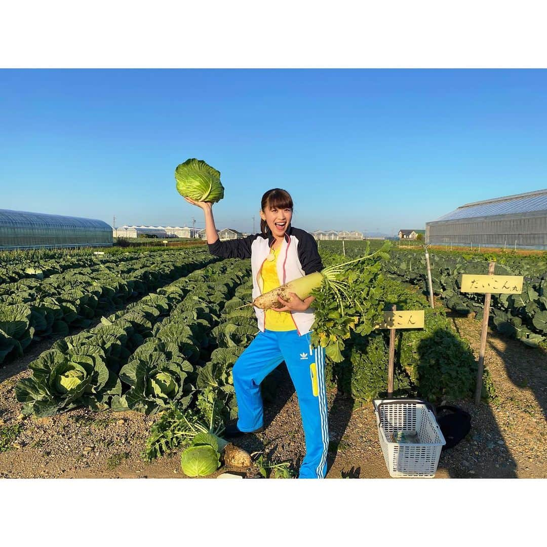 沙羅さんのインスタグラム写真 - (沙羅Instagram)「畑って楽しいなぁ〜🥬✨ #でっっかいキャベツ と #ふっっとい大根 ほりました！ #思わず #獲ったどー‼️ #って濱口さんばりに #言っちゃうよね😆 #愛知県渥美半島 #お陽様農園 #野菜収穫体験 #子供たちにもおすすめだよ！ #みなさま素敵な日曜日を🧡」12月5日 11時43分 - sarapika128