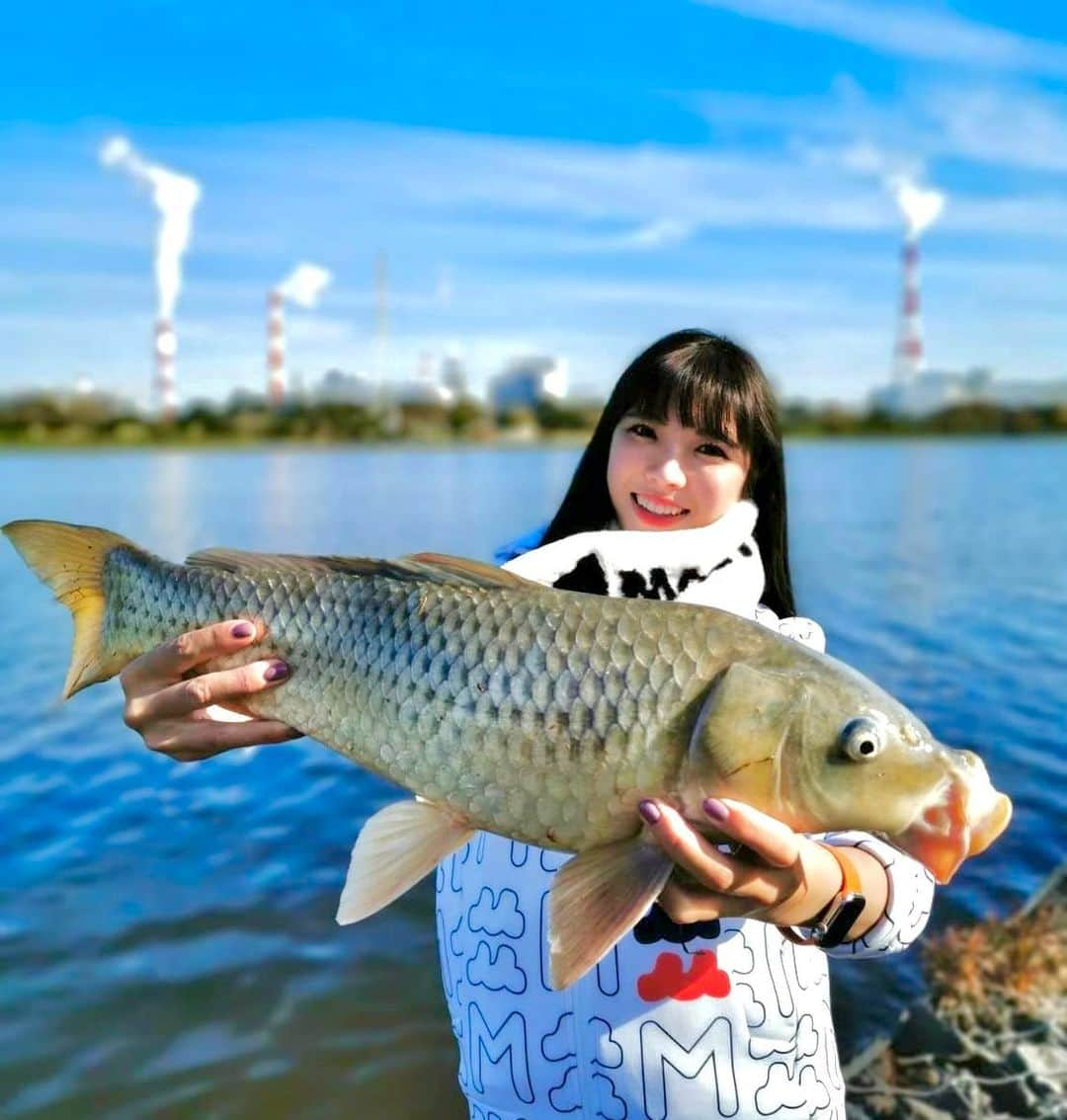 宮田亜夢さんのインスタグラム写真 - (宮田亜夢Instagram)「Carp！When I was silvercarp fishing 🎣  ⁡ ⁡ #延べ竿ハンター ⁡ ⁡ #carp #鯉 #japan ⁡ ⁡ ⁡ #鮎釣り #鮎 #友釣り #延べ竿 #ライトスタイル #ダイワ  #DAIWA  #宮田あゆ #釣り #fishing #fishinglife #fishingday  #낚시 #川 #渓流 #camp #キャンプ #清流 #outdoor #outdoors #nature #naturelover #polefishing ⁡ ⁡ ⁡ ⁡」12月5日 18時38分 - ayu_9992_