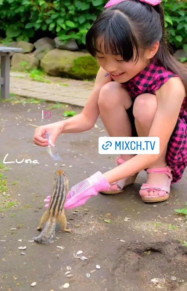 岩脇瑠菜（るなっち）のインスタグラム：「DMで好評だったちびルナ写真🎶 返信できないけどDM読んでます👍️ るなぴ１０歳✨  #プラチナムプロダクション #シブサン #ピンククラス #シマリス #北海道 #網走 #オホーツクしまりす公園」