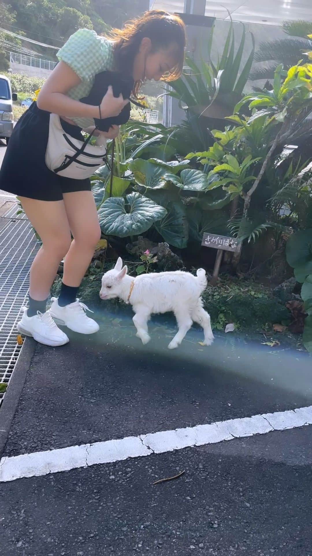 日野麻衣さんのインスタグラム動画 - (日野麻衣Instagram)「早くまた会いたい ︎」12月5日 23時57分 ...
