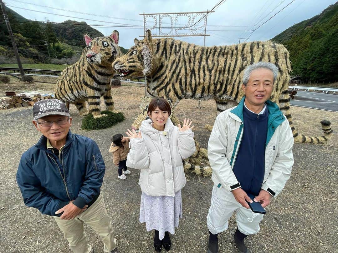 矢端名結さんのインスタグラム写真 - (矢端名結Instagram)「島田市でジャンボ干支取材🐯 これ農家さんが5人くらいで毎年製作してるんですって！！ リアルで迫力満点🔥  年末って感じ🐯  #島田市 #ジャンボ干支 #寅年 #2022 #おれんじ #水曜放送予定」12月6日 11時34分 - miyu_yabata