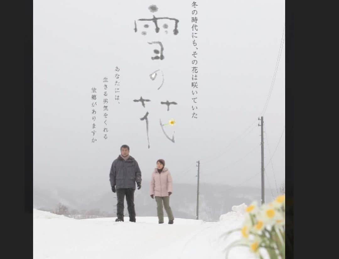 渡辺裕之さんのインスタグラム写真 - (渡辺裕之Instagram)「寒くなった。雪の中でも生命いっぱいに咲くスイセン 映画 雪の花を思い出す。 暖かくして いってらっしゃい！  #冬の花 #雪の花  #スイセン  #今朝の美人」12月6日 12時20分 - hiroyuki6267