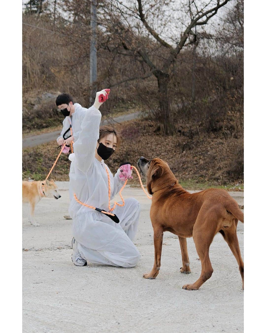 シン・セギョンのインスタグラム：「바잇미와 함께🧡 @biteme.co.kr @kawa.on」