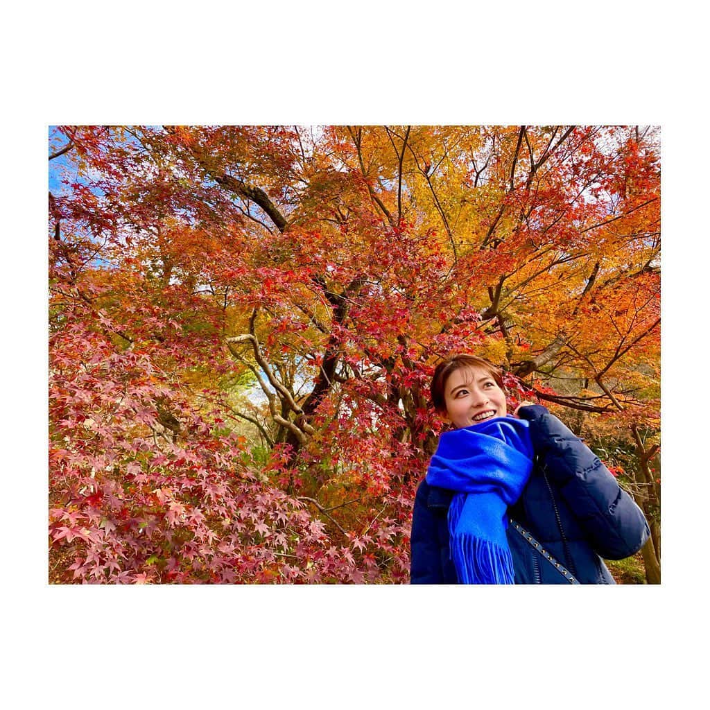 郡司恭子さんのインスタグラム写真 - (郡司恭子Instagram)「* 🍁🍁🍁  もう冬🤧…と思っていたけれど、 思いがけず、視界いっぱいの🍁に出会いました✨ きれい〜！！☺️  #紅葉狩り #🍁  #日本テレビアナウンサー #郡司恭子」12月6日 16時52分 - kyoko_gunji