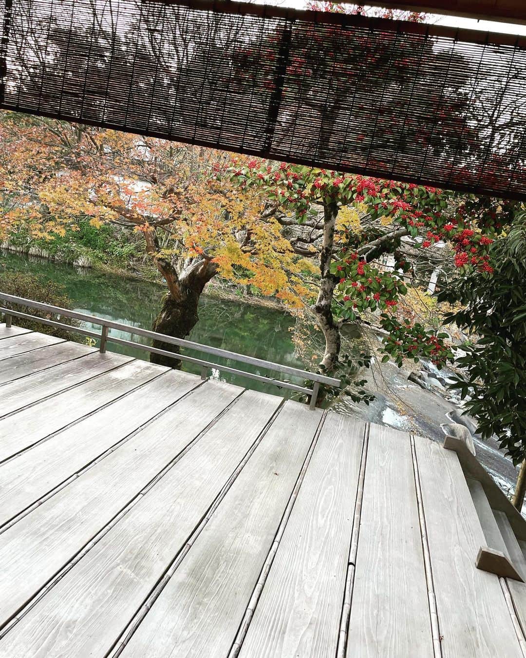大草直子さんのインスタグラム写真 - (大草直子Instagram)「日本て美しいですね。海外も良いけれど、昨年今年、と日本の素晴らしさに、心から感動しています。今日はお仕事で、佐賀県嬉野市へ。肥前吉田焼、うれしの茶、温泉と、美味美湯美器がぎゅっと集まったカルチャーパワースポット❤️ @watayabesso_official に寄せて頂いています。集落１つ分くらいの敷地面積ですが、サービスはとても細やか。温かな気遣いとワクワクする文化体験が楽しめます。あまりに素晴らしすぎて、今夜、お部屋ツアーのインスタライブできるかな。寝ちゃうかな😁 @watayabesso_official  #佐賀県嬉野市 #嬉野ティーツーリズム #絶対再訪したい #最高の天気 #茶畑を見ながらの茶事 #暖かく風はなく #最高でした #うれしの嬉野 #可愛い名前 #嬉しい！て好き」12月6日 17時48分 - naokookusa