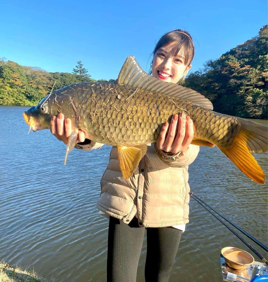 宮田亜夢さんのインスタグラム写真 - (宮田亜夢Instagram)「It was very nice carp fishing while watching the fall leaves 🍁 ⁡ #延べ竿ハンター ⁡ ⁡ #carp #鯉 #japan ⁡#fallleaves  ⁡ #鮎釣り #鮎 #友釣り #延べ竿 #ライトスタイル #ダイワ  #DAIWA  #宮田あゆ #釣り #fishing #fishinglife #fishingday  #낚시 #川 #渓流 #camp #キャンプ #清流 #outdoor #outdoors #nature #naturelover #polefishing ⁡ ⁡ ⁡ ⁡」12月6日 18時17分 - ayu_9992_