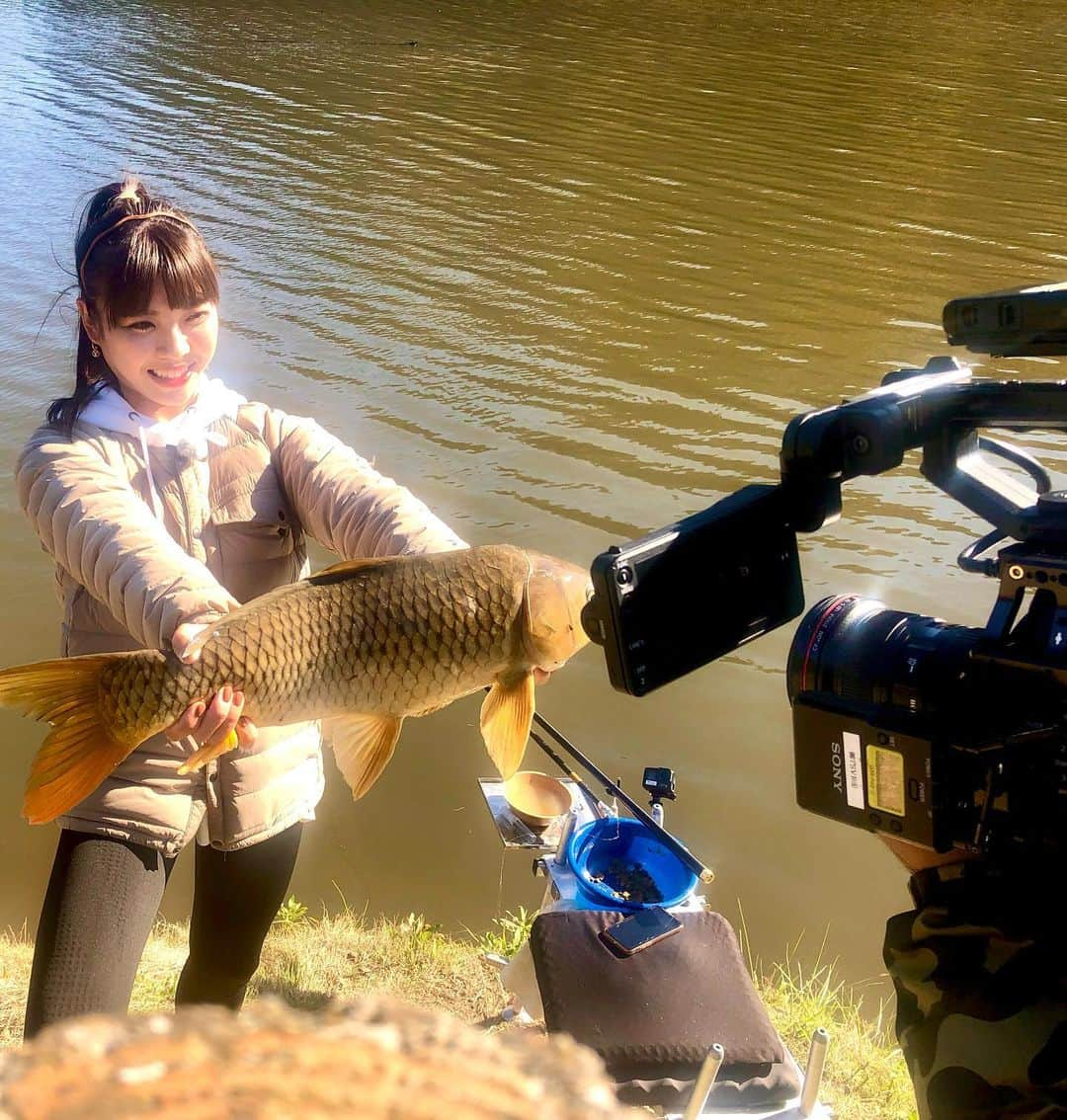 宮田亜夢さんのインスタグラム写真 - (宮田亜夢Instagram)「It was very nice carp fishing while watching the fall leaves 🍁 ⁡ #延べ竿ハンター ⁡ ⁡ #carp #鯉 #japan ⁡#fallleaves  ⁡ #鮎釣り #鮎 #友釣り #延べ竿 #ライトスタイル #ダイワ  #DAIWA  #宮田あゆ #釣り #fishing #fishinglife #fishingday  #낚시 #川 #渓流 #camp #キャンプ #清流 #outdoor #outdoors #nature #naturelover #polefishing ⁡ ⁡ ⁡ ⁡」12月6日 18時17分 - ayu_9992_