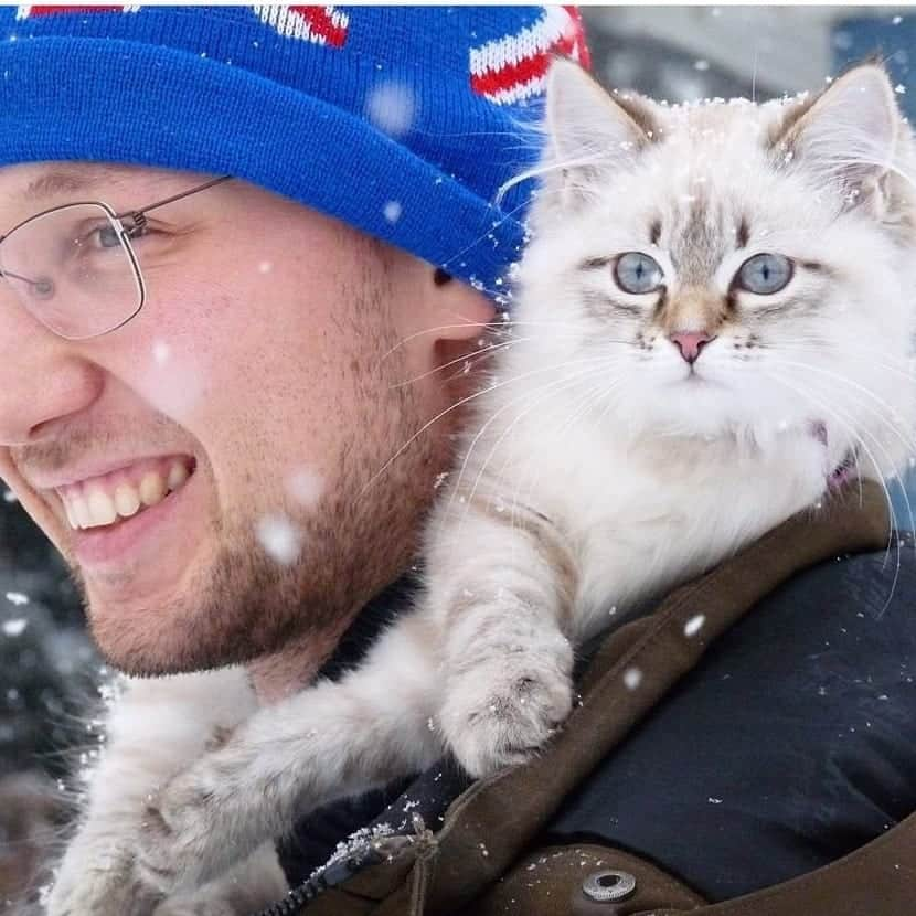 Floraさんのインスタグラム写真 - (FloraInstagram)「Travelling in style since 2015😹 #taxi #cat #kitten #december #snow #catsofinstagram #travelinstyle」12月7日 5時39分 - fantasticflora