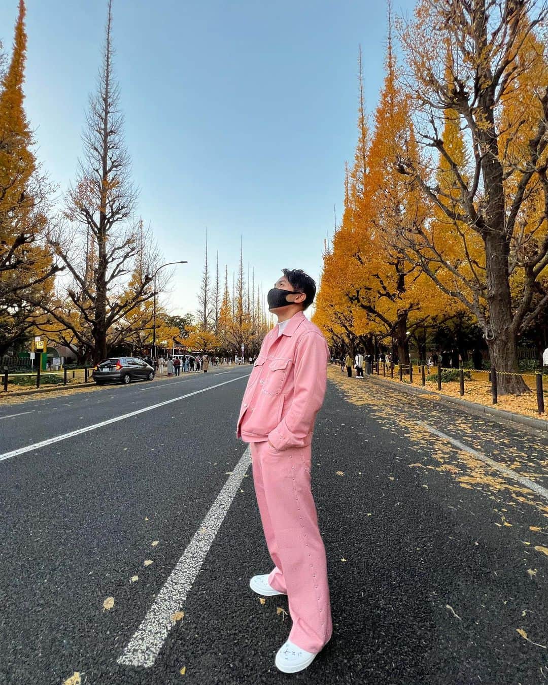 佐々木大さんのインスタグラム写真 - (佐々木大Instagram)「銀杏並木に行ってきました」12月6日 21時26分 - hirosasaki_