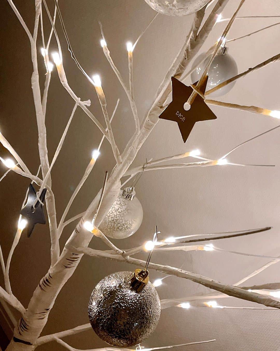渡辺美奈代さんのインスタグラム写真 - (渡辺美奈代Instagram)「我が家のツリー  #シンプルに。。。 #子供達も喜んでくれる年齢でもないし #オーナメントボール  #ひとり寂しく飾り付け #そんな時間も好きですが。。。 #クリスマス」12月6日 22時16分 - watanabe_minayo