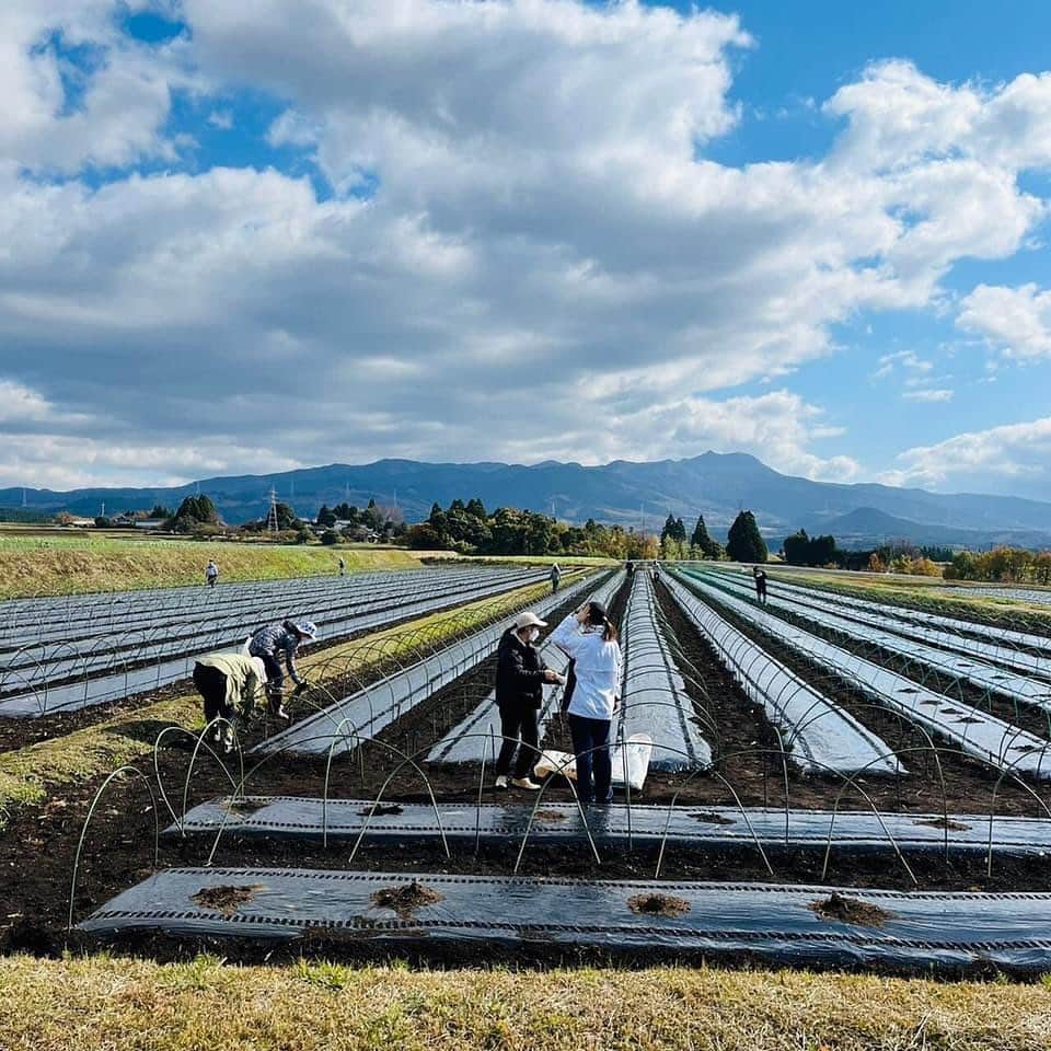 Kumamoto COC+さんのインスタグラム写真 - (Kumamoto COC+Instagram)「先週土曜日は、菊池市佐野地区での過疎地集落支援活動でした。  今回の活動は、ごぼう畑にビニールを張るための支柱建て。結構腰に来る作業です。  稲刈りが終わったら、ごぼう畑として変身！「水田ごぼう」の大変さ、身に沁みました・・・。  農家さんは、毎年この作業をご夫婦2人でされているとか。  過疎化の進む中山間地域では、ちょっとしたお手伝いがあるだけで農業の継続ができるかどうかが変わってくきます。 #熊本大学 #学生ボランティア」12月7日 15時04分 - kumadaikido