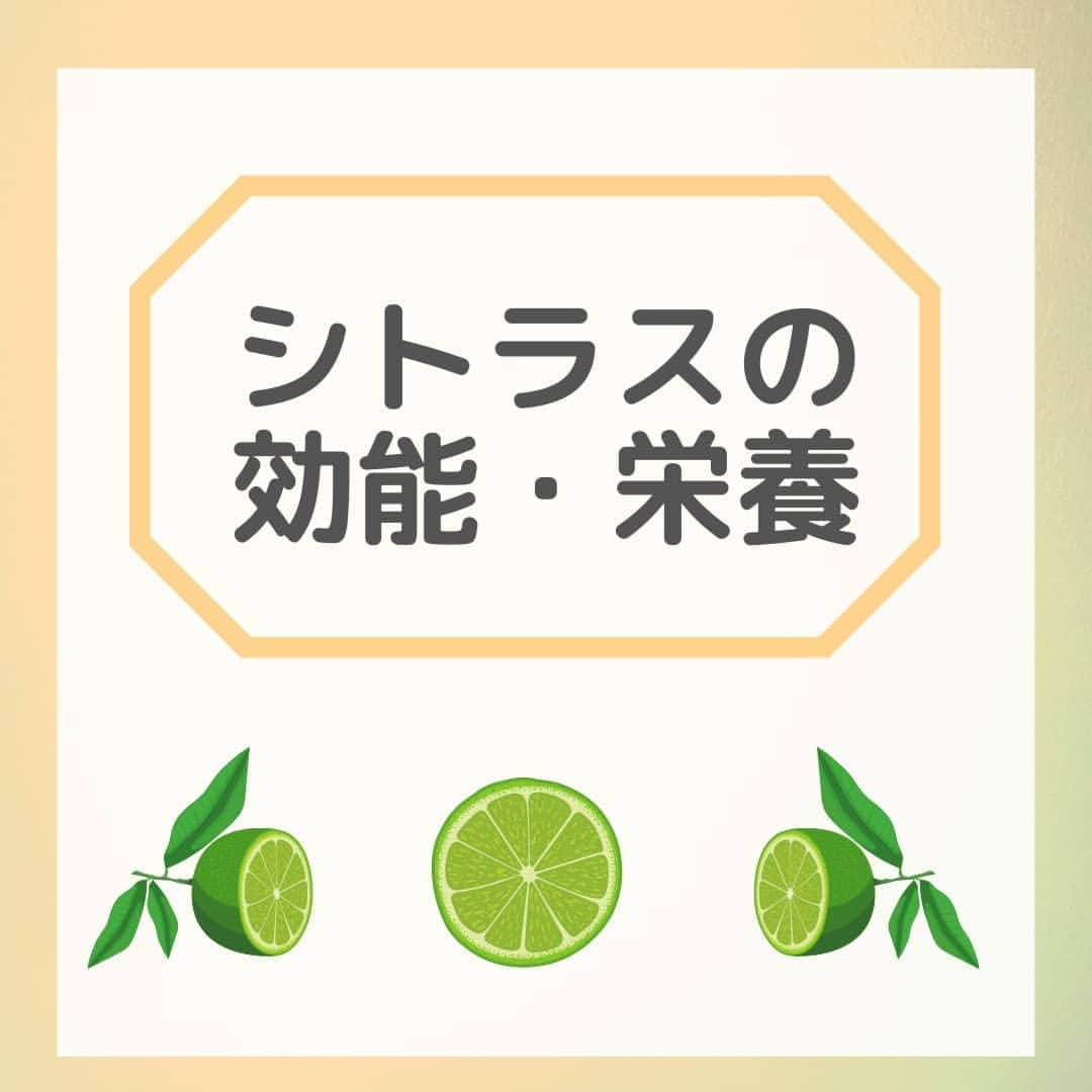 JJJ SUPPLEMENTのインスタグラム：「『シトラスの栄養・効能』　  . 今回はシトラスの栄養と効能についてご紹介します！ . アロマオイルとしても有名なシトラス。今回は普段の生活では口にすることが少ないシトラスについてまとめました🌿　 . 最後に紹介している飲む日焼け止めには、ビタミンが含まれているので、気になる方はぜひチェックしてみてはいかがでしょうか😆  #日焼け止め #美白 #紫外線対策 #紫外線量 #日焼け止めサプリ #保湿 #シミ対策 #uvケア #美肌ケア #jjjsupplement #uvトータルクリア #健康 #美容 #日本製造 #madeinjapan #シトラス #フルーツ」