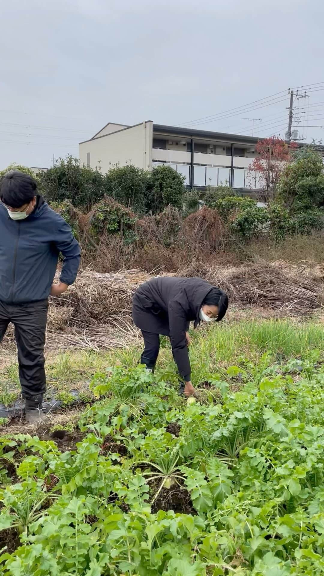 原沙知絵のインスタグラム