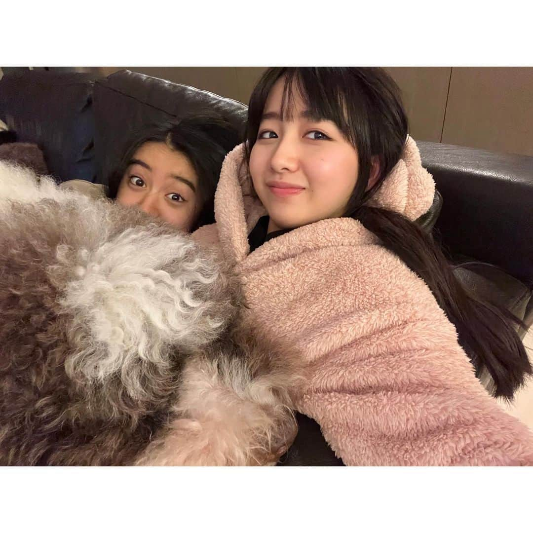 木村心美さんのインスタグラム写真 - (木村心美Instagram)「寝てらっしゃる〜 起きた〜 エト君乗ってきた〜 な、今日の3枚です。」12月7日 23時26分 - cocomi_553_official