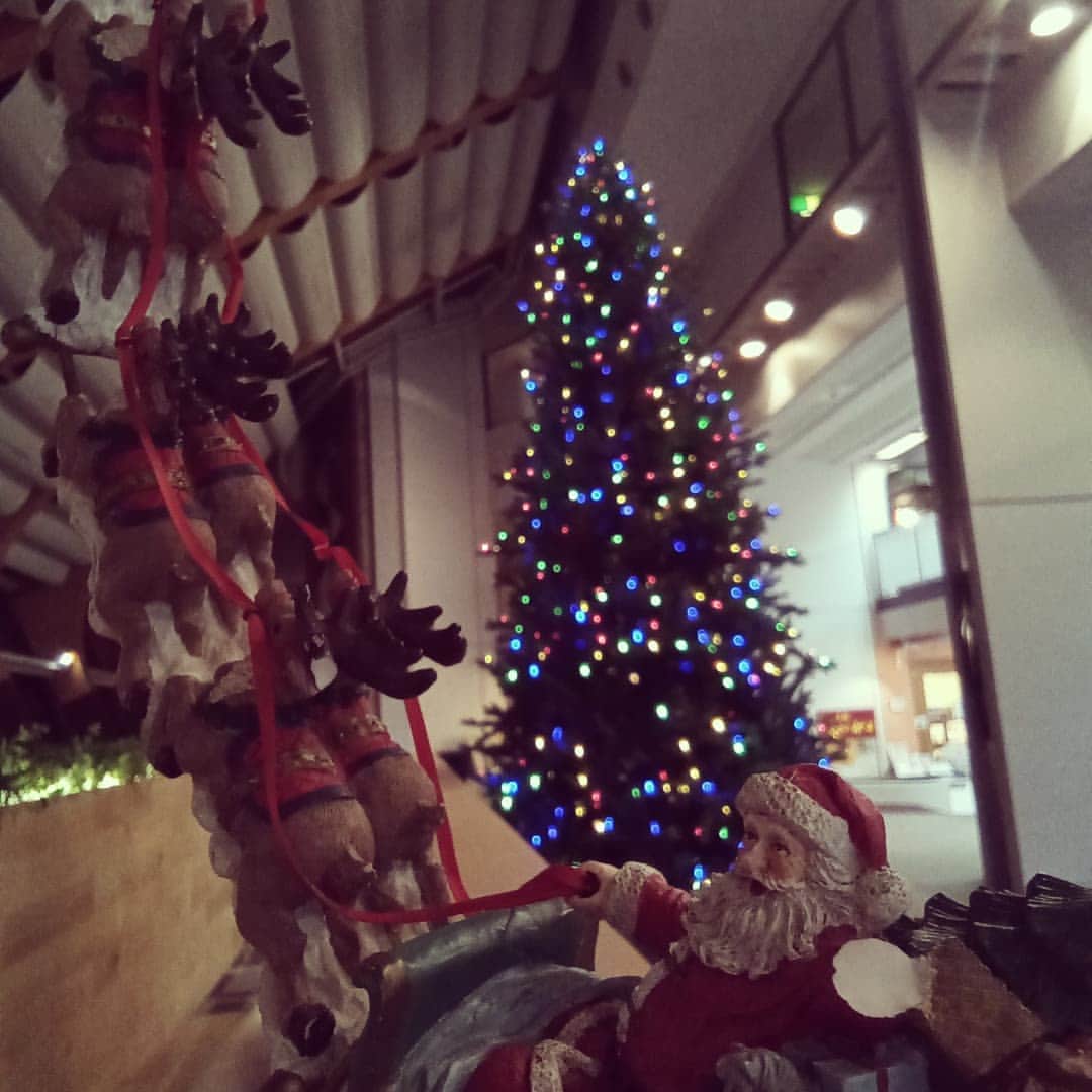 ホテルアンビエント伊豆高原のインスタグラム：「ホテルアンビエント伊豆高原のクリスマス 指折り数えてクリスマス #ホテルアンビエント伊豆高原 #セラヴィリゾート泉郷  #クリスマスツリー  #サンタクロース」