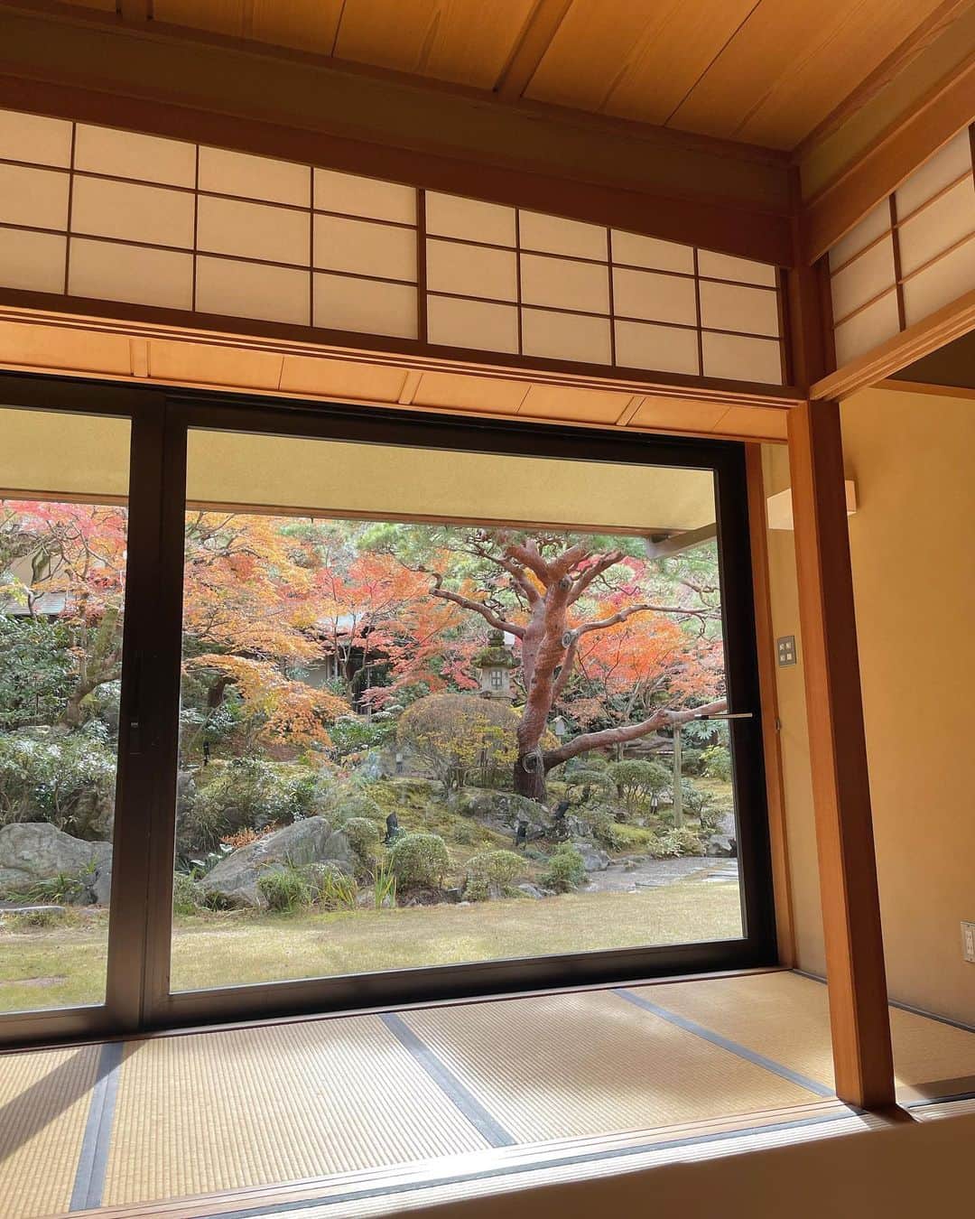 高田茉実のグルメインスタ