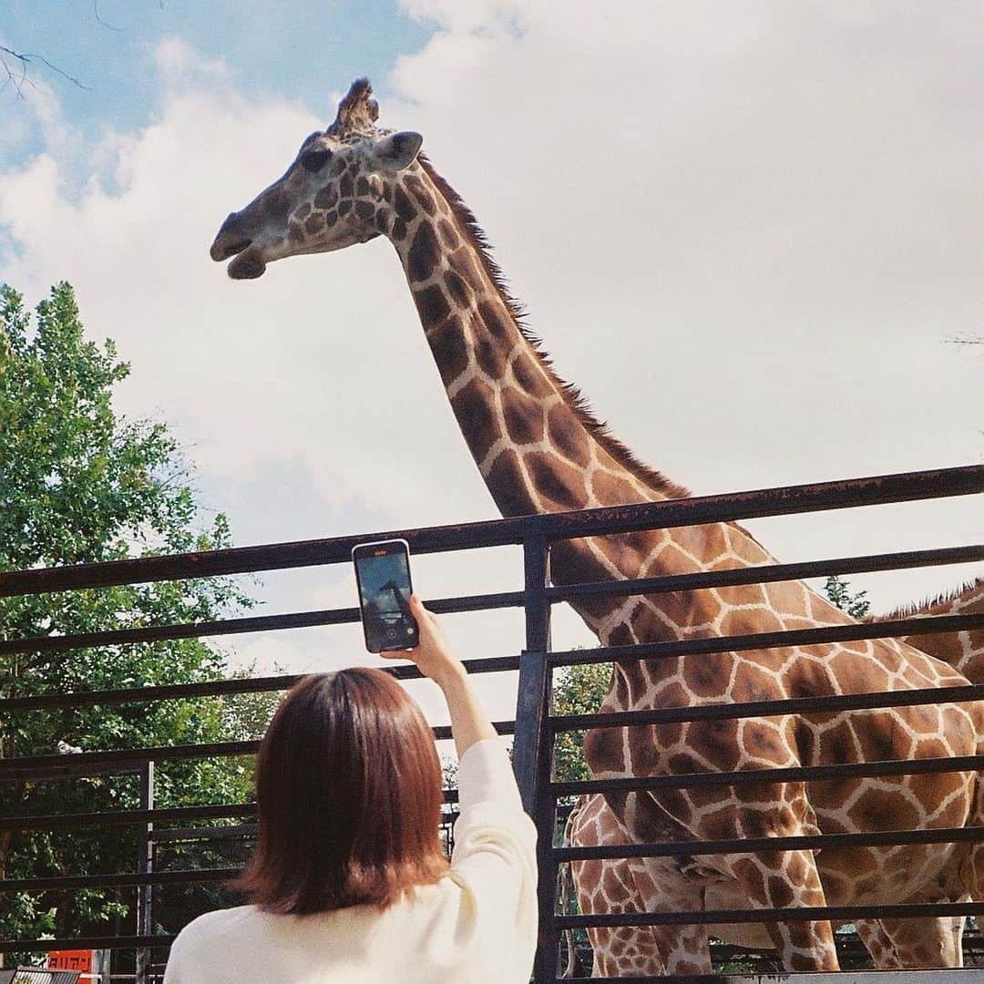 高田夏帆さんのインスタグラム写真 - (高田夏帆Instagram)「今夜､最終回､放送🌛 愛しかないです。 最後まで恋しかしてないです。 明日の事なんて誰にも何もわからない中で 相手の事も自分の事すらも 全てわかるわけじゃないんだったら せめて後悔しないように今を生きてね！ 凛子さん､幸あれ☺︎ ps.あああ最後なんだねちょっと寂しいねうるむね MBS 25:09~ / TBS 24:58~ #凛子さんはシてみたい」12月7日 21時36分 - takadakaho