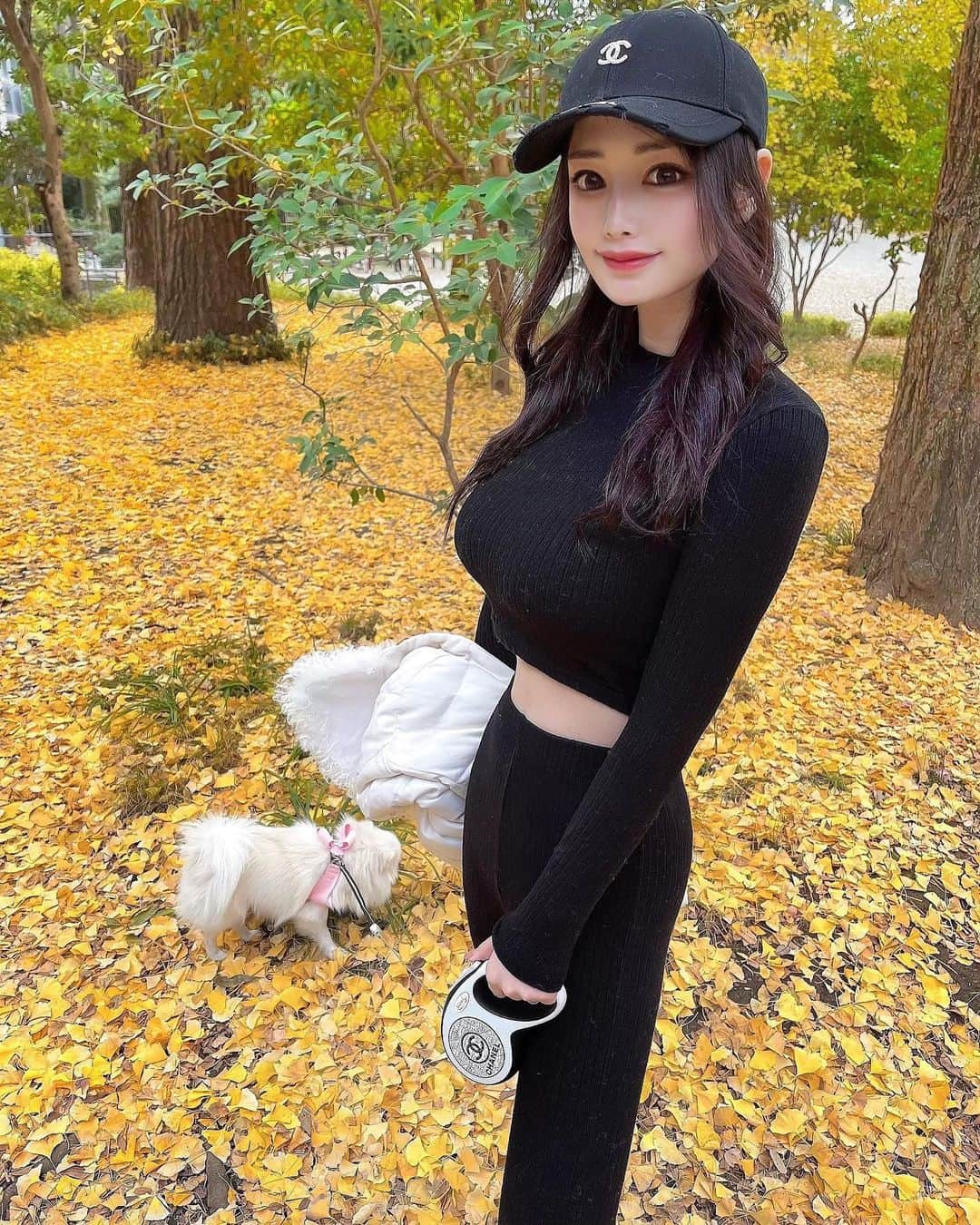 本多胡桃のインスタグラム：「お散歩日和🍁🤍  毎日のお散歩はらくちんセットアップで🐶 @ciel_official.jp   #お散歩#ことこーで#紅葉#公園#ポメラニアン部#ciel#selectshop#coco#ootd」