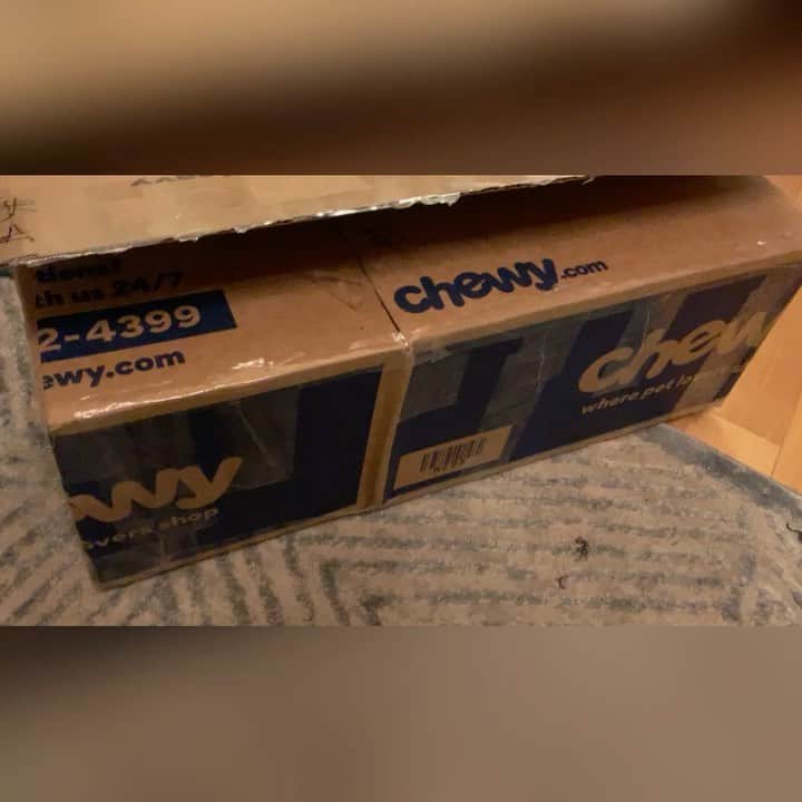 エミリー・スワローのインスタグラム