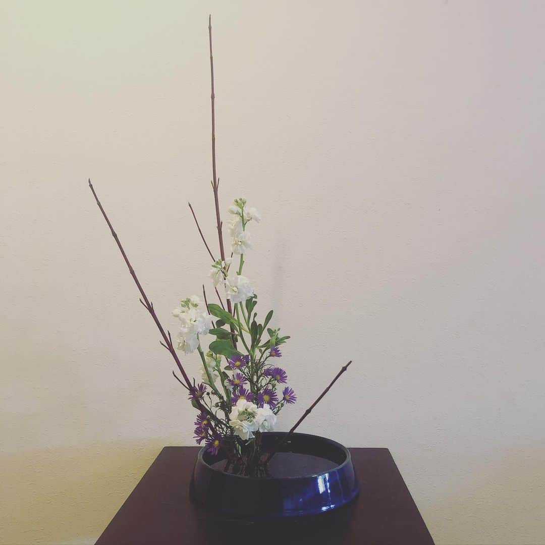 高井つき奈さんのインスタグラム写真 - (高井つき奈Instagram)「いけた花」12月8日 1時34分 - tsukinatakai