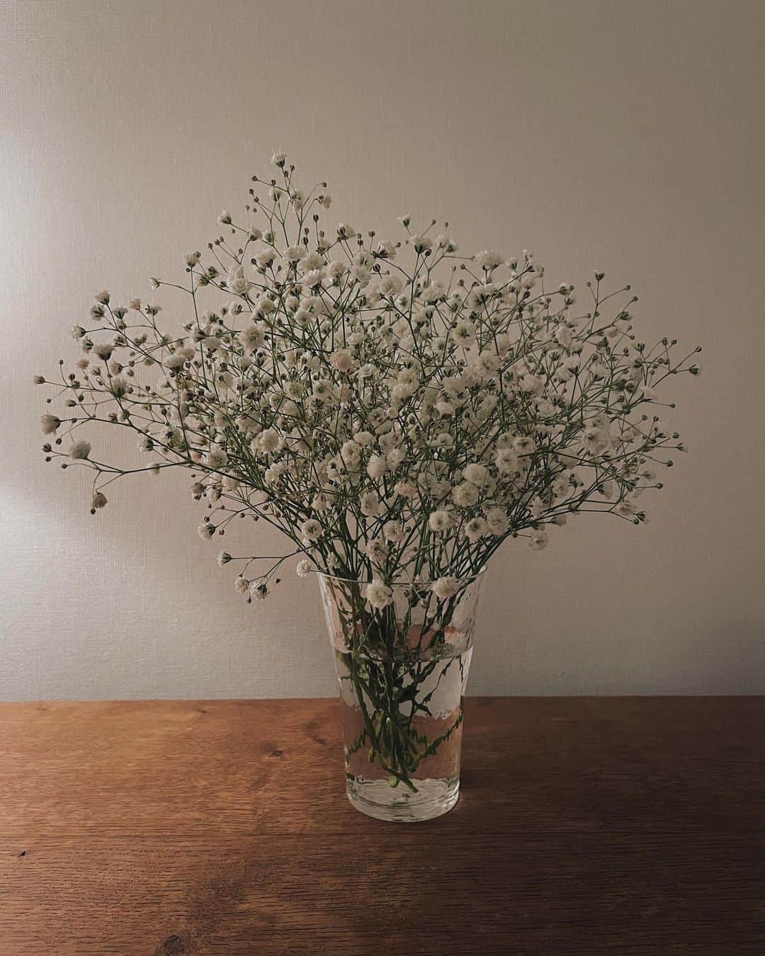 平大路えみのインスタグラム：「お世話になりました、とみんながくれた花束♥︎  他のお花は枯れちゃったけど、かすみ草は乾燥しても、かわいいから、いつもドライフラワーになるまでそばにいてもらう。  お世話になったのは、こちらの方だ。  やま、ボニ、たいが、ありがとう♥︎ みんなのことがだいすきだよ。」