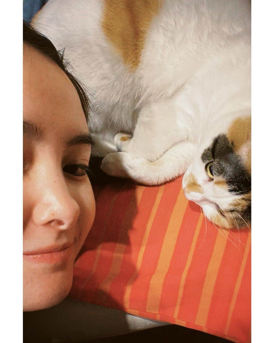 葵わかなのインスタグラム：「anan特別編集「にゃんこ♡LOVE」  お知らせが遅くなってすみません！もう手に取っていただいた方もいるかもしれないけど、載せていただいてます☺️  実家の愛猫、みろと以前撮影させていただいた時の写真と、最近のみろと梅吉と✨  2匹の写真と、私と2匹一緒の写真…  みろも梅ちゃんも抱っこが好きじゃないから、本当に写真が一緒に撮れません😱  これ、成功してる？笑　みたいなオフショット感満載の写真しか撮れず、申し訳なさもありつつみたいな写真になってしまったのですが載せていただいてますっ！本当にありがとうございます🥺笑  それでも載せていただいた写真は中でも映りがとてもいいものをお渡しさせていただいたんです！！そこは胸を張れます☺️  いかに、難しいか、その時の失敗写真を載せますのでわかってもらえたら嬉しい🤣  でも一緒に写真は撮れなくても愛しいのは愛しい☺️ 猫はやっぱりかわいいなぁ〜そんな風に感じるananの猫特集🐈 まだの方はぜひ手に取ってみてくださいね！」