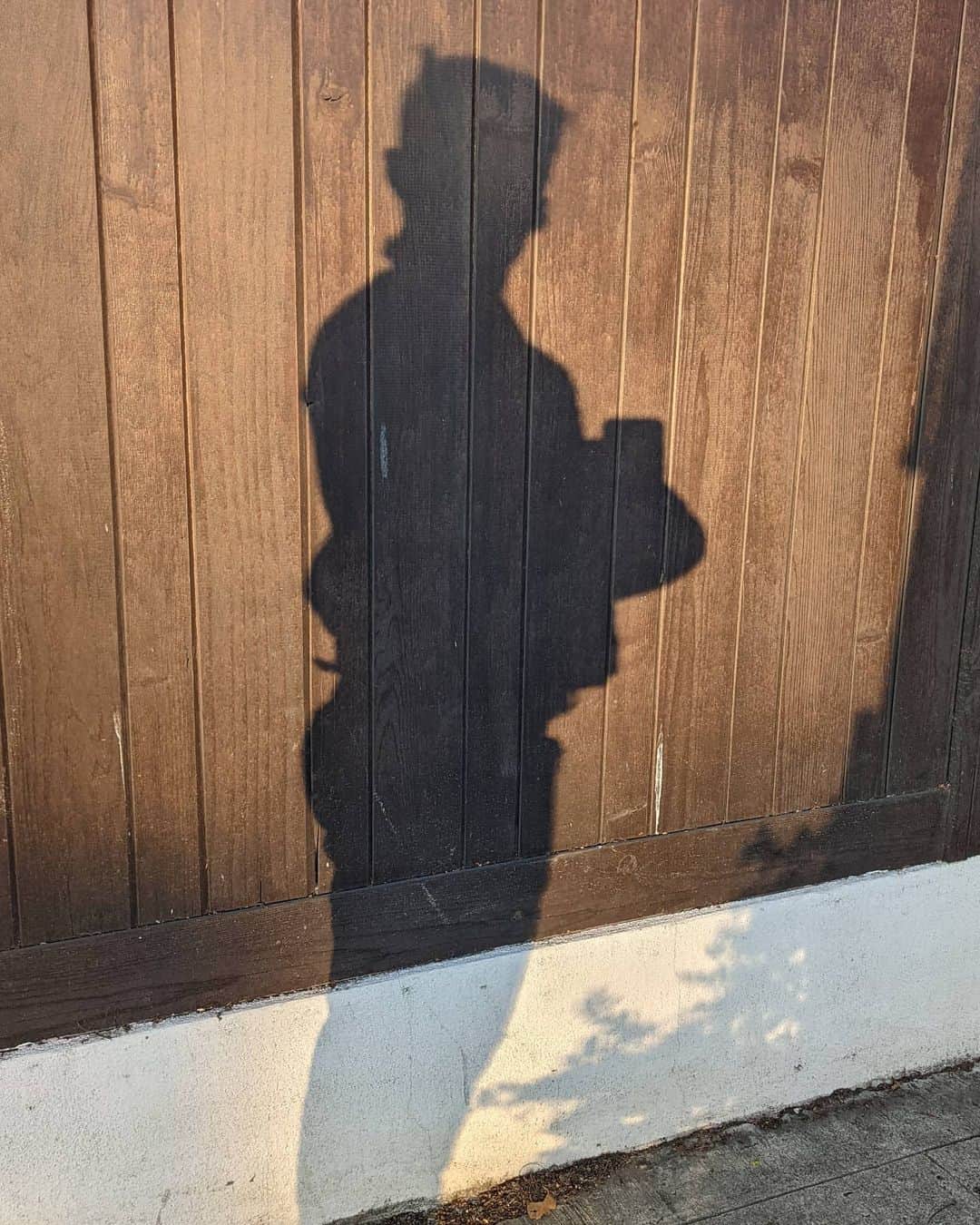 ハナー・ハートのインスタグラム：「Happy holidays from me to my shadow! Thanks for always having my back! 🤳🌲✨」
