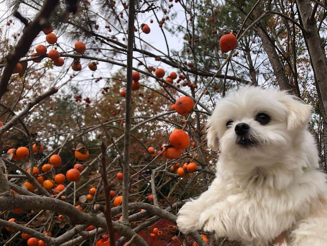 小野真弓のインスタグラム