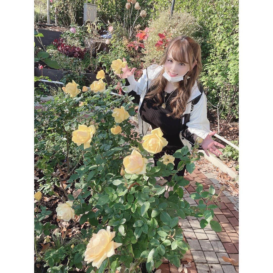 西村ニーナさんのインスタグラム写真 - (西村ニーナInstagram)「黄色のバラって可愛い💛💛」12月9日 23時03分 - nishimura_nina