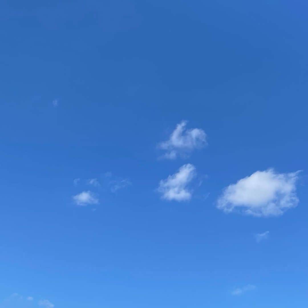 吉井明子さんのインスタグラム写真 - (吉井明子Instagram)「꙳✧˖°⌖꙳✧˖°⌖꙳✧˖°⌖꙳✧˖°⌖꙳✧˖°⌖꙳✧˖° 東京は4日ぶりの青空💙 嬉しいです☺️  皆さんはきょうの空を見上げましたか？  #東京の空  #青空 #気象情報 #天気予報 #気象予報士 #気象キャスター #weatherforecaster #기상캐스터　#氣象主播 #吉井明子」12月9日 15時33分 - akiko_yoshii_sunny_rain