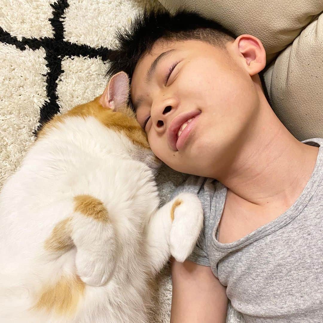 のインスタグラム：「猫たちに最近モテモテの大ちゃん❤️ ⁡ 大ちゃんの表情も一段と穏やかな表情に✨ 猫ちゃんパワーには勝てないかも…(笑) ⁡ #brother4 #YouTuber #小学生 ⁡#ねこ好き  #ねこのいる生活  ⁡ ⁡ ⁡」