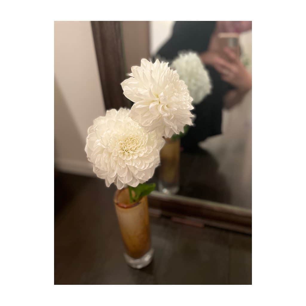 郡司恭子さんのインスタグラム写真 - (郡司恭子Instagram)「* 白いダリアと大好きな花瓶🤍 花言葉は”感謝”だそう。  #お花のある暮らし #ダリア #花瓶 #感謝 #ありがとう #大切に使ってます」12月9日 20時38分 - kyoko_gunji