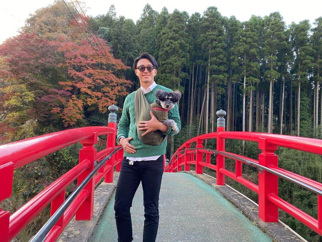 岡野洵のインスタグラム：「. .  24歳になりました〜😆 沢山のお祝いのメッセージありがとうございます！！ シーズン中に皆んなに祝ってもらいたかったなぁ🤣 たまには、サッカー以外の写真も🤣  #紅葉ショット📸🍁 #久しぶり登場Bailey🐕‍🦺」