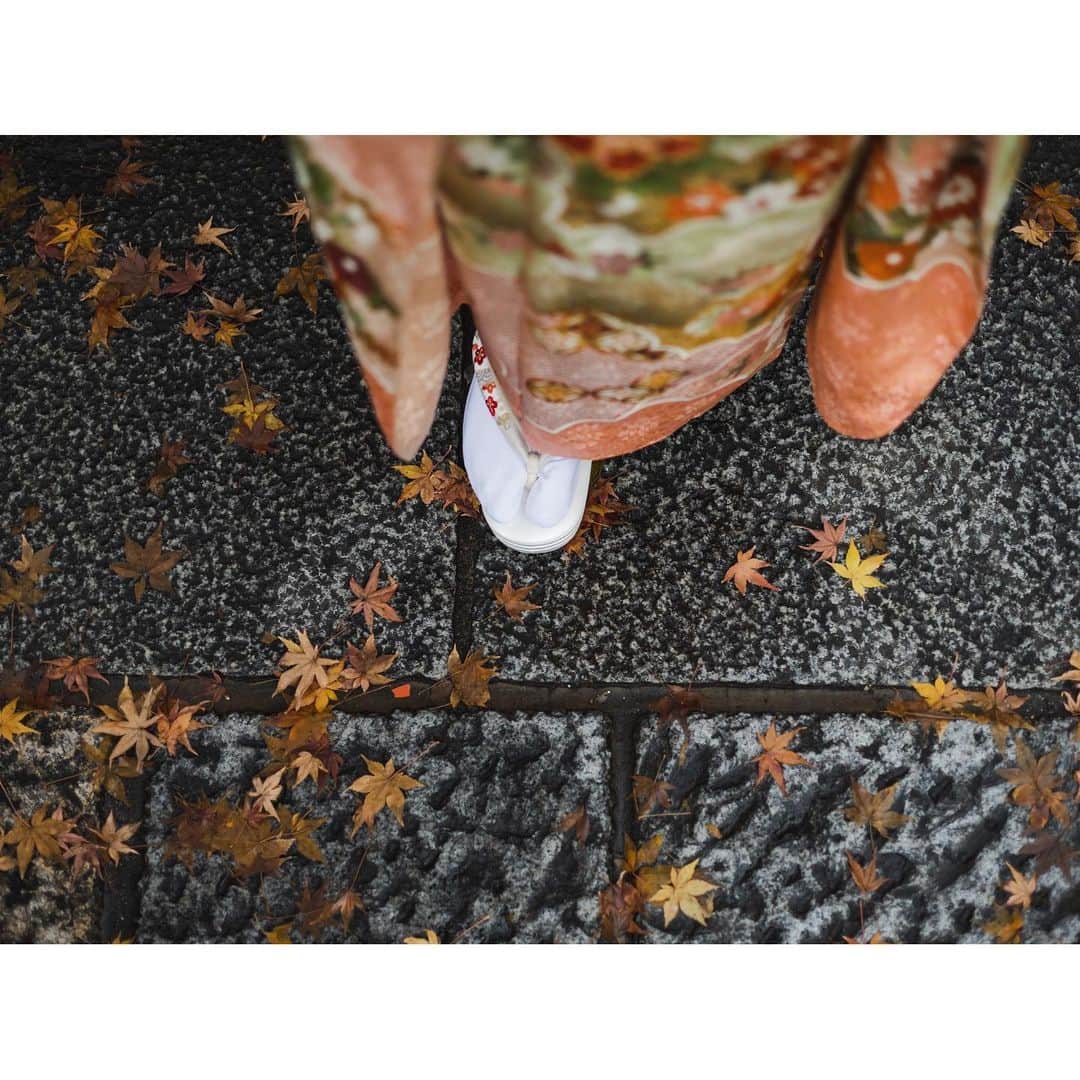石井美保さんのインスタグラム写真 - (石井美保Instagram)「京都撮影は @enishi_photo_wedding さんにお願いしました。ロケーション選びも写真のクオリティも最高でお願いして本当に良かったです。1500枚ぐらい撮って頂いた中からベストを選んで40Pのアルバムにしてもらいます。出来上がりは1月に。楽しみです。  娘の振り袖は十日町友禅の手描き振袖、長襦袢は振袖の中にある白緑色を見本にして染めていただきました。 娘が一目惚れした大七宝の袋帯は成人式に間に合うように織っていただきました。 京絞り帯揚げ•帯締め•刺繍バックと草履のセットは全て衿秀さん。 刺繍半襟、重ね襟は加藤萬さんです。 全て @ginza_enzo 若奈さんに相談して希望するイメージの振り袖を集めて頂き、娘と1つ1つ決めました。若奈さん、本当にご尽力ありがとうございます。#成人式#振り袖#振り袖ヘア #振り袖帯結び 髪飾りは#かづら清老舗  5枚目はENISHIさんの大きな暖簾の前で#enishiphotowedding#mihoishii_京都」12月10日 0時59分 - miho_ishii