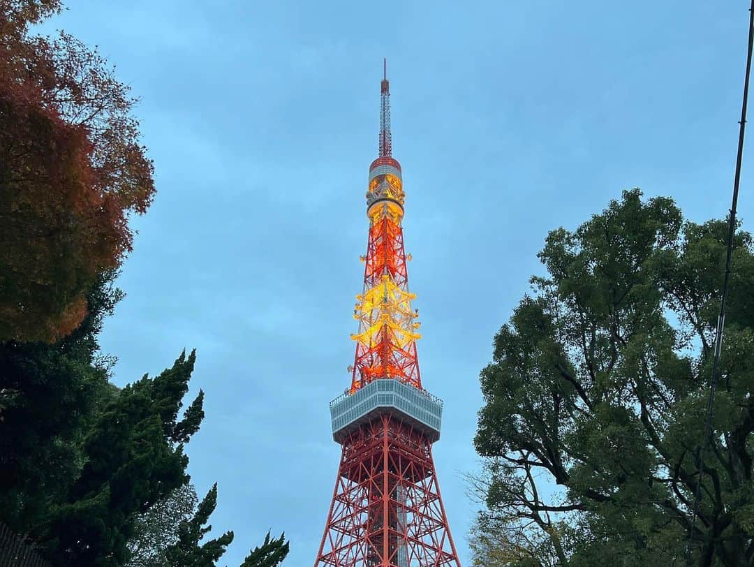篠原梨菜さんのインスタグラム写真 - (篠原梨菜Instagram)「東京のど真ん中で樹氷のようなイルミネーション✨ #朝5時の絶景time   東京・六本木 けやき坂イルミネーション！ 白銀の世界をイメージした、白と青の光✨ 氷点下の樹氷のようで、心なしか空気が一層ひんやりと感じられました❄️ およそ400mにわたり、70万灯ほどのLEDが輝きます！ 点灯時間は夕方5時から夜11時までですが特別につけていただきました！ おすすめの撮影スポットは、けやき坂ブリッジの上！ オレンジ色の東京タワーとのコラボ！ 冬の六本木ならではの景色🎅 イルミネーションは12月25日までです🎅  そのあとの中継場所で、東京タワーに接近したり芝公園そばの紅葉を見つけたり🍁  今日も朝4時半から是非ご覧ください！写真が真っ暗になっていたので再投稿します💦  #thetime_tbs #欅坂イルミネーション  #欅坂 #けやき坂イルミネーション  #六本木 #イルミネーション #夜景 #東京タワー #樹氷 #紅葉 #芝公園 #tbs #tbsアナウンサー  #篠原梨菜」12月10日 3時54分 - shinorinatbs