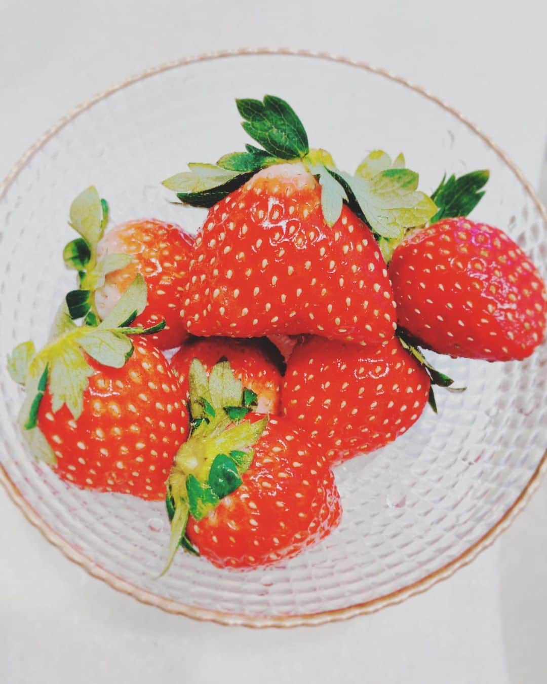 諏訪彩花さんのインスタグラム写真 - (諏訪彩花Instagram)「ちょっと歩きそうな苺ちゃん🍓笑。 このあとミルクいれて食べました。 #いちご」12月10日 17時31分 - suwa_ayaka