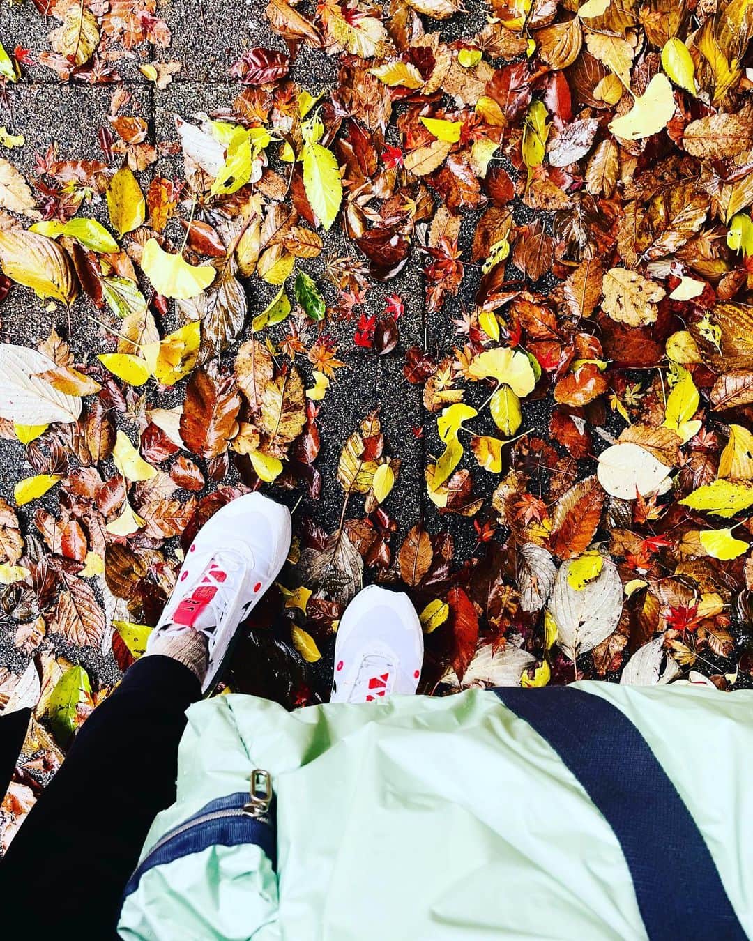 大草直子さんのインスタグラム写真 - (大草直子Instagram)「おはよう！　早朝ヨガに🧘‍♀️行きました。いつもは電動自転車だけれど、今日は歩いて。数日前の強風で、落ち葉の絨毯が🍂🍁きれいだな。帰って朝ごはんを食べて、原稿なう。お味噌汁はインスタントです😁今日はひなこの21歳の誕生日🎂おめでとう㊗️ 家族でお祝いします。 @amarc_official  #12時公開の記事に #子育てのいろいろを #書こうと思います #感慨深いな #が #まだまだまだまだ続くよ #子育ては笑笑」12月10日 10時22分 - naokookusa