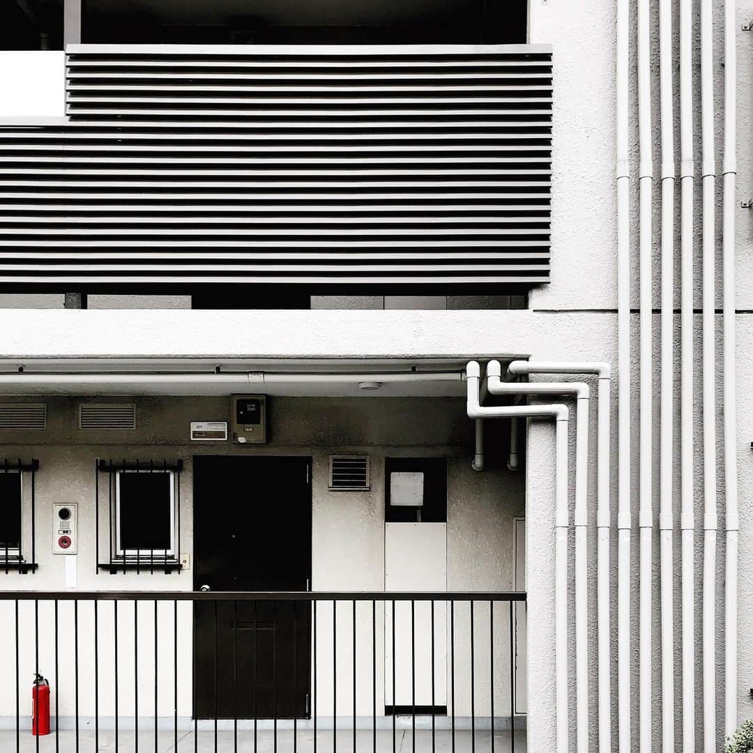 ザ壁のインスタグラム：「ぱいぱいぱいぷぱいぱいぷぴー。 #ザ壁部 #ザ壁部JAPAN」