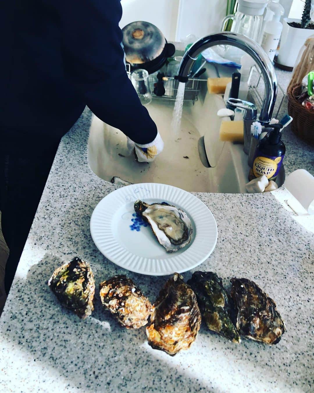 のインスタグラム：「三男坊なかなかやりよる！ バイト経験がものいうなあー！ 昨夜の早い早い晩飯！ 牡蠣フライ！ 広島の安ちゃんからの牡蠣！ 絶品！」