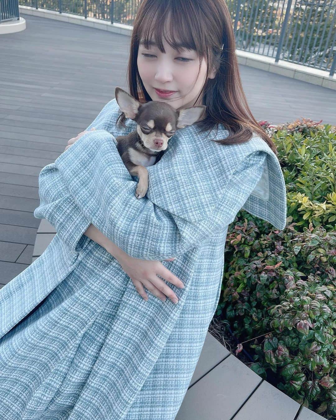 浜田翔子さんのインスタグラム写真 - (浜田翔子Instagram)「ぎゅ♡🐶♡  チワワは寒がりだから 中々あたたかい時じゃないとお外でれなくなるね❄️  カメラマンが妹だからばっちり見てる👍🤍 最後のこういう時もあるよね。。🤣 似てきたのかな😆  #ぷんにーといぬ #ぷんにーらいふ  #妊婦コーデ  #honeymihoney  #臨月」12月10日 16時08分 - shoko_hamada