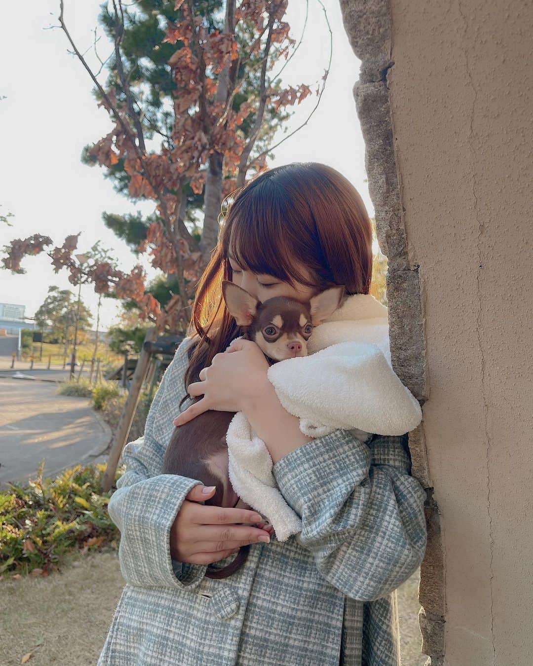 浜田翔子さんのインスタグラム写真 - (浜田翔子Instagram)「ぎゅ♡🐶♡  チワワは寒がりだから 中々あたたかい時じゃないとお外でれなくなるね❄️  カメラマンが妹だからばっちり見てる👍🤍 最後のこういう時もあるよね。。🤣 似てきたのかな😆  #ぷんにーといぬ #ぷんにーらいふ  #妊婦コーデ  #honeymihoney  #臨月」12月10日 16時08分 - shoko_hamada