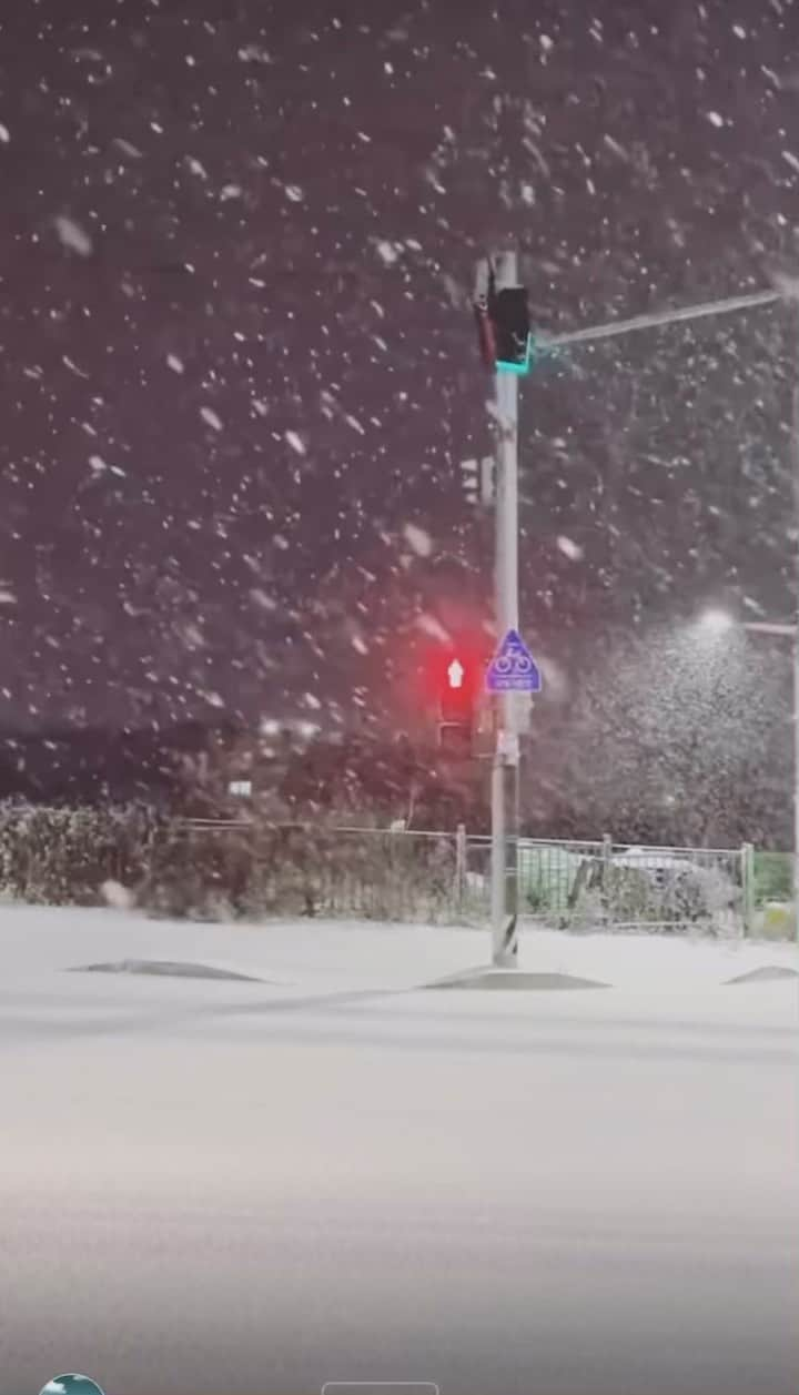 ノ・ミヌのインスタグラム：「❄️❄️」