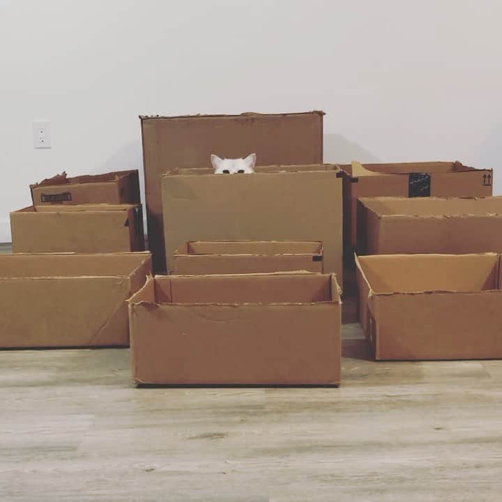 コビーのインスタグラム：「Box season is here. Finally. #fbf #flashbackfriday」