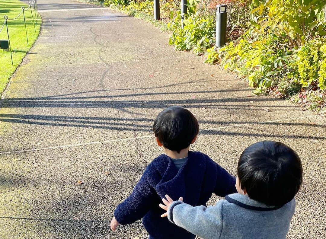 田中麻衣さんのインスタグラム写真 - (田中麻衣Instagram)「🍁🍁🍁 いろんなことに興味津々。 なんでも気になる、どこまででも歩きたいお年頃。 母は追いかけるのに必死😂💦 ですが、いいことだ🙌 いろーんな景色を見たり、いろーんなものに触れて、思い切り楽しんでたくさんのことを吸収してね🌿 気づけばもうすぐ2歳👦🏻 #1y10m」12月11日 0時00分 - maitanaka1217