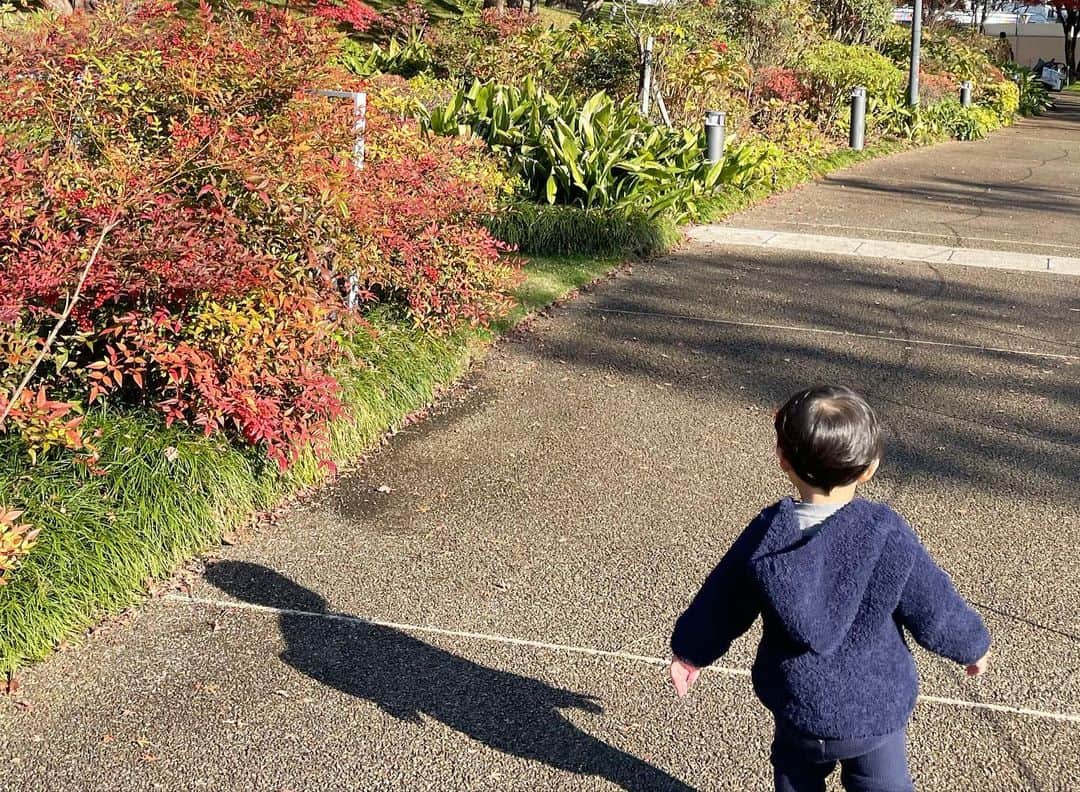 田中麻衣さんのインスタグラム写真 - (田中麻衣Instagram)「🍁🍁🍁 いろんなことに興味津々。 なんでも気になる、どこまででも歩きたいお年頃。 母は追いかけるのに必死😂💦 ですが、いいことだ🙌 いろーんな景色を見たり、いろーんなものに触れて、思い切り楽しんでたくさんのことを吸収してね🌿 気づけばもうすぐ2歳👦🏻 #1y10m」12月11日 0時00分 - maitanaka1217